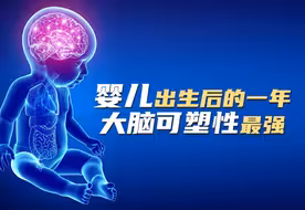 婴儿出生后的一年，大脑可塑性最强
