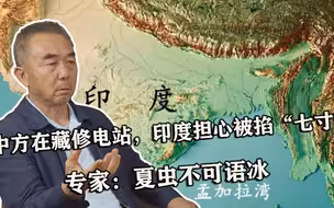 中方在藏修电站，印度担心被掐“七寸”，专家：夏虫不可语冰
