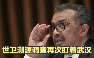 世卫溯源调查再次盯上武汉，中国当然说“不”