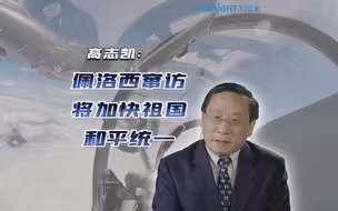高志凯：佩洛西窜访台湾将加快祖国和平统一