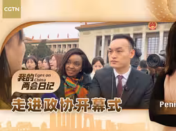 非洲记者对政协会议印象深刻