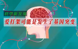 爱打架可能是发生了基因突变