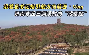 沿着总书记指引的方向前进·Vlog｜济南章丘三涧溪村的“致富经”