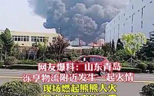 网友爆料：山东青岛泺亨物流附近发生一起火情 现场燃起熊熊大火 巨大烟柱直冲云霄