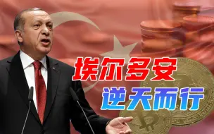 埃尔多安扬言要降息到底，硬刚现代经济学，到底是谁给他的底气