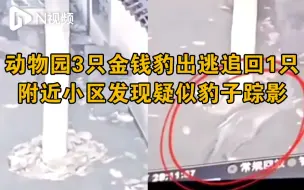 官方通报杭州野生动物世界3只金钱豹外逃：目前已追回一只