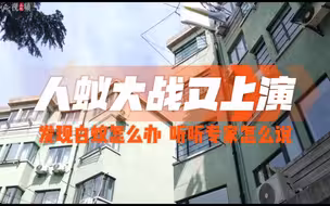 魔都居民家中惊现巨型蚁巢？先莫慌…听听专家怎么治白蚁