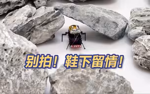 鞋下留情！北航成功研发“蟑螂”机器人 钱币大小可上天下地