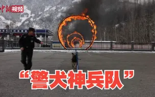 披荆斩棘的“汪汪队”冬训画面“泄露”：反复苦练确保“打胜仗”