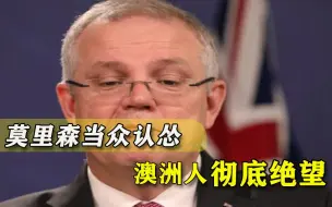 莫里森不敢谴责特朗普，澳大利亚国内舆论一边倒，网友：总理没种