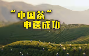 “中国茶”申遗成功 | 完整版非遗申报片来了！