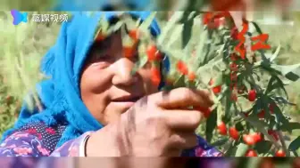 传递这份喜悦！丰收节快乐