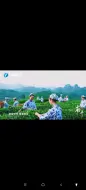 30秒@武夷山茶——历经千年，传承至今
