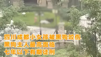 四川成都小女孩被黑狗咬伤黑狗主人最高面临七年以下有期徒刑