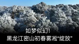 如梦似幻！黑龙江密山初春雾凇“绽放”