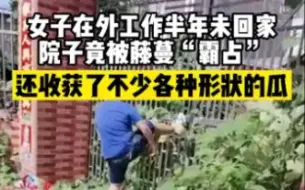 女子在外工作半年未回家，院子竟被藤蔓“霸占”还结了瓜