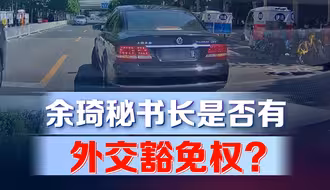 违规停车还叫嚣有“外交豁免权”？不仅她被罚，她的狗也出事了！