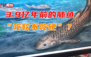 这条3.9亿年前的肺鱼为何“吃软不吃硬”？