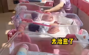 新生儿们集体撅着小屁股晒太阳，“窗台上的三个是开通了VIP嘛”。