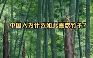 中国人为什么如此喜欢竹子？