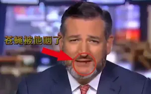 超敬业！美反华议员正直播受访 一只苍蝇从脸上爬进嘴里被他咽了