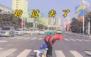 萌娃过马路看到红灯急刹车 直接被家长“骑”过去了