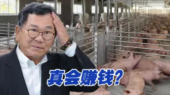 真会赚钱？绿营民代陈明文父子低成本贷款近亿元新台币开养猪场