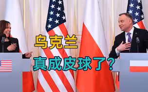 让完战机让难民，美波上演“兄友弟恭”闹剧，哈里斯狂笑拒绝杜达