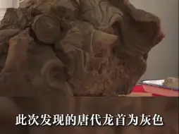 雄安新区出土罕见萌系龙首：黑眼珠、绿眼线