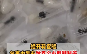 入境包裹影像异常，