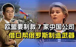 中欧关系再生变，欧盟要对中国企业下手，借口称为俄制造武器