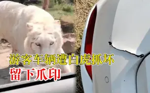 竖版