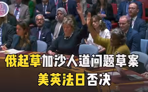 俄起草加沙人道问题草案 美英法日否决