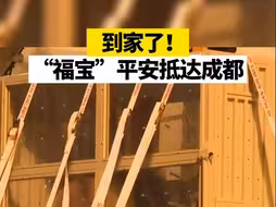 到家了！“福宝”平安抵达成都