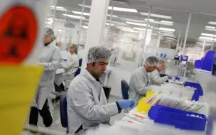 特朗普女婿回应州政府：联邦的医疗物资是联邦的 各州应自行解决