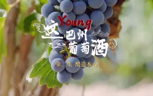 《这young巴州葡萄酒》又双叒秀新活力，带你品味戈壁风情