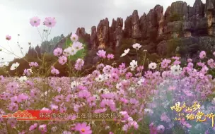云南《马铃儿响来玉鸟唱》