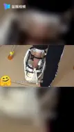 出院啦！小峻熙又“跳”起了舞