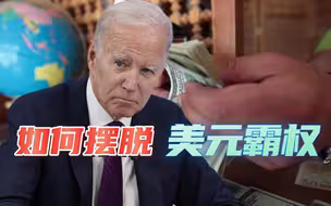 “末日博士”鲁比尼：如何摆脱美元霸权，全球多国已经找到答案