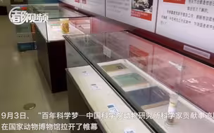 国家动物博物馆开新展，这次压箱底的精品都拿出来了