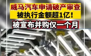 威马汽车申请破产审查，被执行金额超1亿！