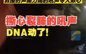 出警归来遇车祸民警冲向冒烟轿车，救援时声嘶力竭的吼声令人揪心