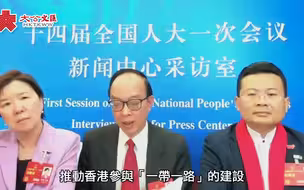 趙樂際參加香港代表團審議　提出「四個帶頭」