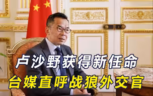 欧洲没料到，战狼外交官卢沙野以新身份回归，对台表态让岛内破防