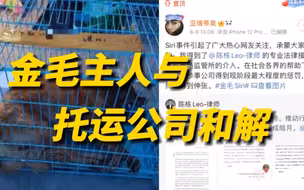 金毛Siri主人发声：在托运公司公开道歉等前提下双方和解