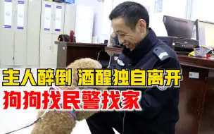 男子公园醉倒狗狗一直陪伴，醒后独自离开狗狗带民警找家