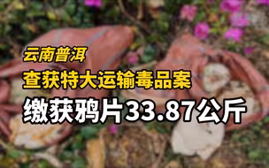 云南普洱查获特大运输毒品案，缴获鸦片33.87公斤