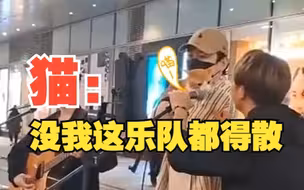 乐队街头唱歌配上喵喵原声，猫：没我这乐队都得散！