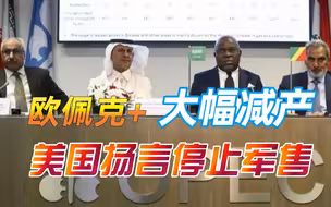 欧佩克+减产石油后，美国政客彻底怒了，要求拜登冻结对沙特军售
