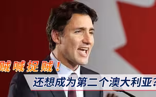 想成为第二个澳大利亚？加拿大又开始作妖了，中使馆：贼喊捉贼！